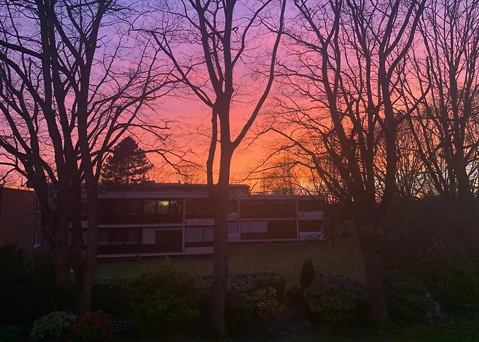 Leon's Daire Krefeld